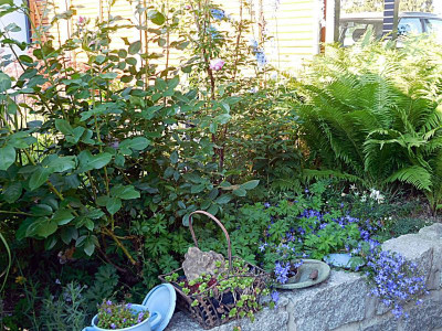 DSCN0776.JPG