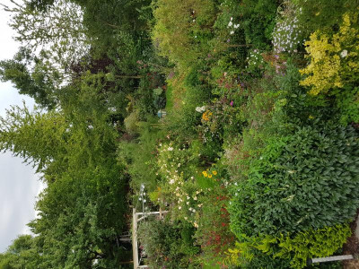 20170830_093348.jpg