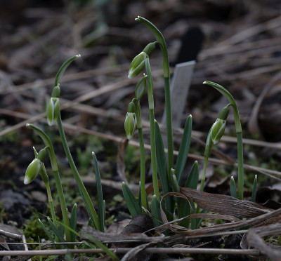 DSC_7036_DxO.jpg