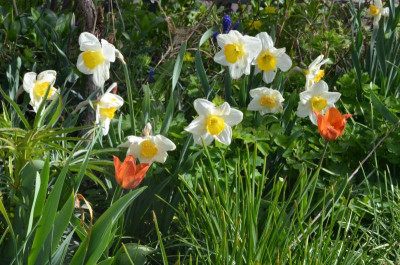 Narcissus-PyjamaParty.22-3.jpg