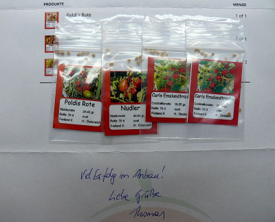 230210_Tomatenflüsterer_1.jpg