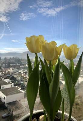 E04512B7-6D4E-45B5-834A-C8C594216654.jpeg