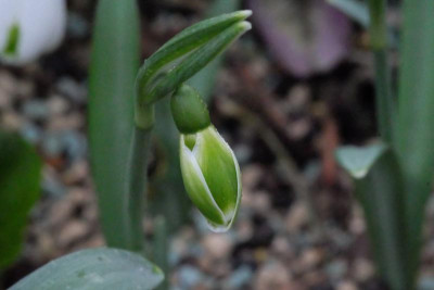 DSCF7366.JPG