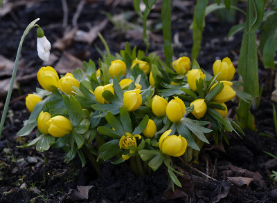 DSC_7032_DxO.jpg
