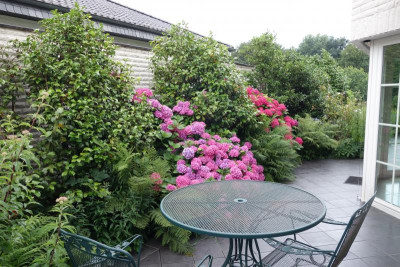02.2 Südterrasse Sommer.JPG