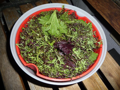 P1160765.JPG