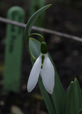 DSC_7051_DxO.jpg