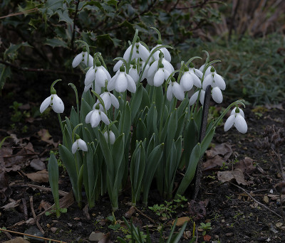 DSC_7039_DxO.jpg