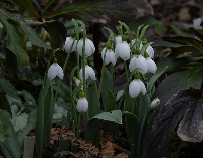 DSC_7042_DxO.jpg