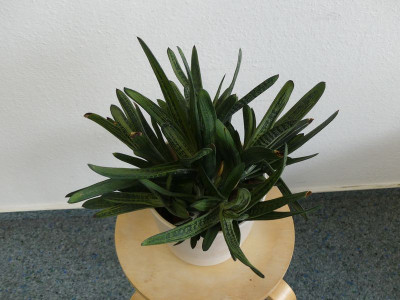 2023-02-13 Büro 4.jpg