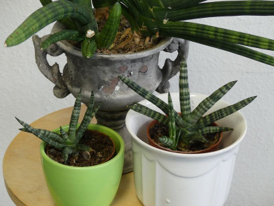 2023-02-13 Büro 15.jpg