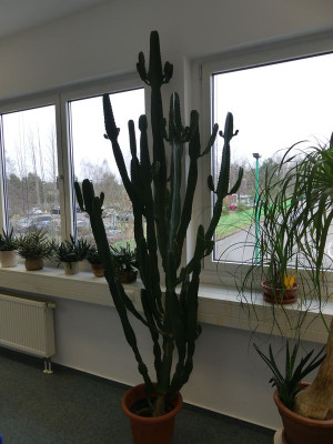 2023-02-13 Büro 17.jpg