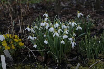 DSC_7067_DxO.jpg