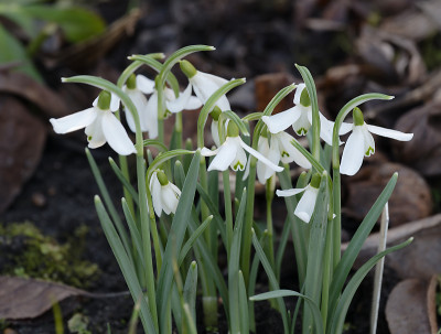 DSC_7080_DxO.jpg