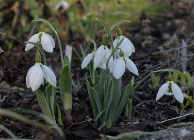 DSC_7064_DxO.jpg