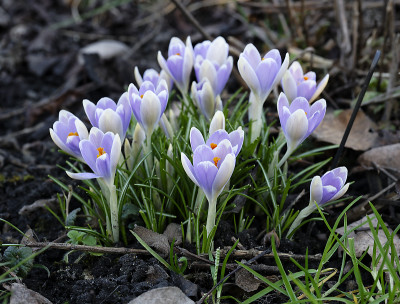 DSC_7060_DxO.jpg