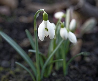 DSC_7097_DxO.jpg