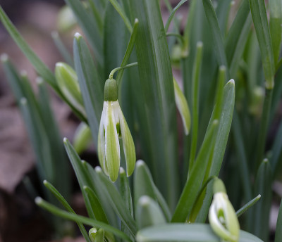 DSC_7100_DxO.jpg