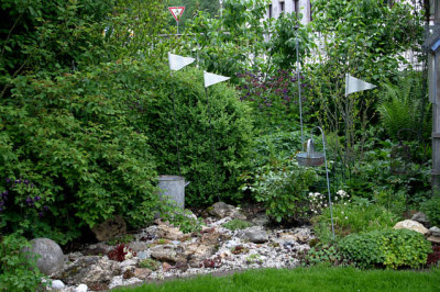 Steingarten0208.jpg