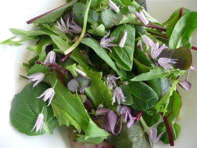 Salat.22.05.2008.00.JPG