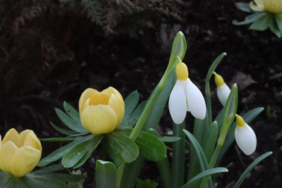 DSCF7422.JPG