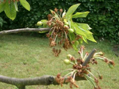 P5.jpg