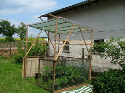 Tomatendach2.jpg