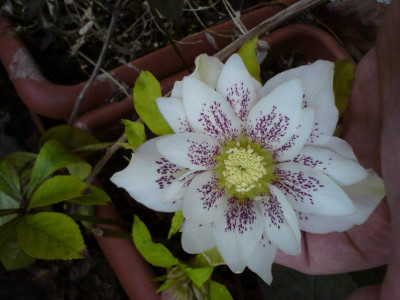 DSC07165.JPG