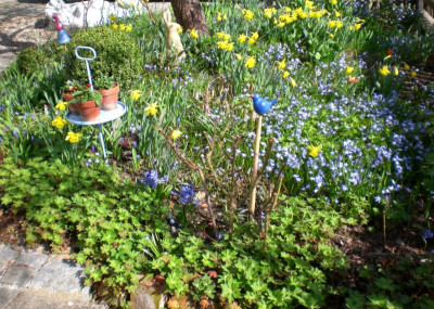 Vorgarten-Ostern.jpg