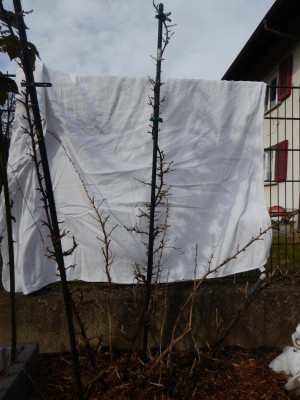 DSCN8256.JPG