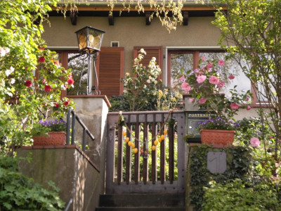 Kamelienausstellung 2014 02.JPG