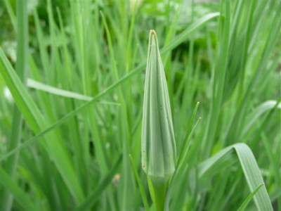 22.05.2008.50.JPG