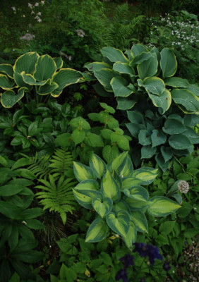 garten_mai_kati_03.jpg
