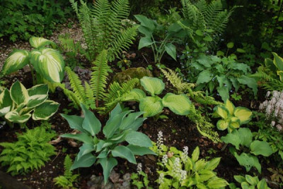 garten_mai_kati_04.jpg
