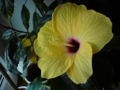 DSC07171.JPG