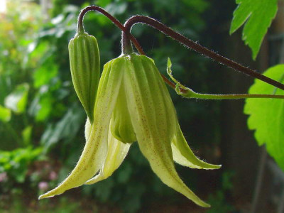 22.5.2008_16-28-42_0016.JPG