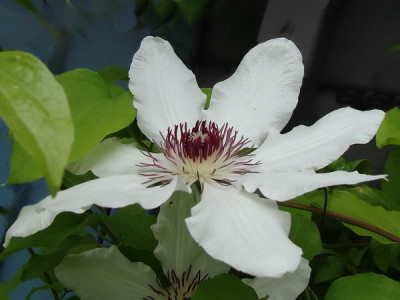 22.5.2008_16-34-12_0036.JPG