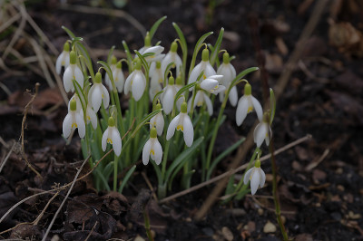 DSC_7121_DxO.jpg