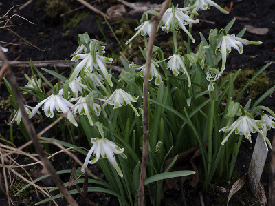 DSC_7131_DxO.jpg