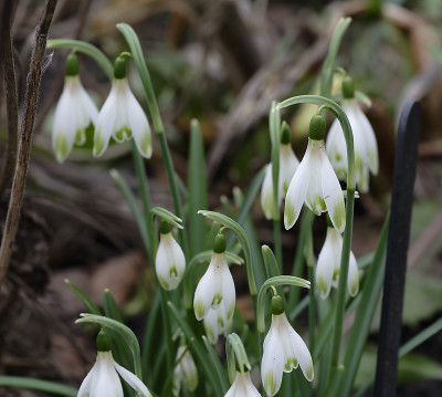 DSC_7132_DxO.jpg