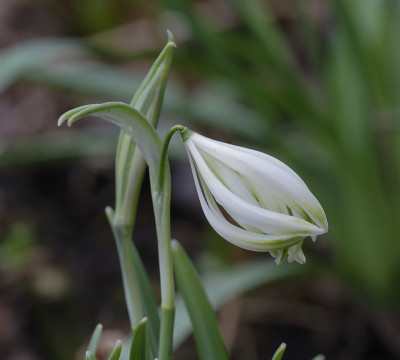 DSC_7115_DxO.jpg