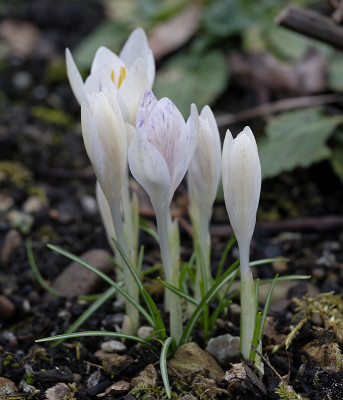 DSC_7120_DxO.jpg