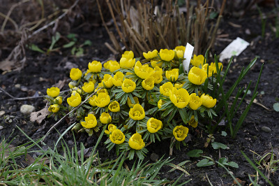 DSC_7116_DxO.jpg
