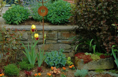 Iris_X_1_17-05-2008.jpg