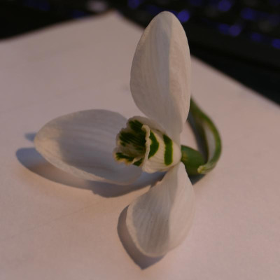 P1100743.JPG