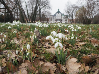 Park 22.2.23.JPG