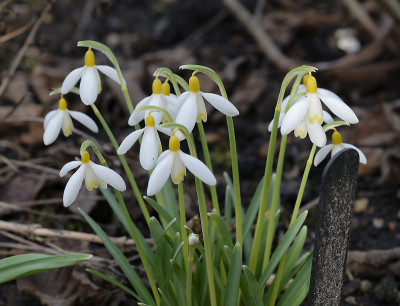 DSC_7135_DxO.jpg