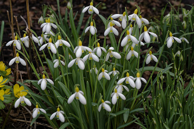 DSC_7144_DxO.jpg