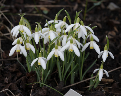 DSC_7148_DxO.jpg