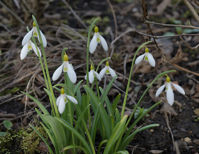 DSC_7136_DxO.jpg